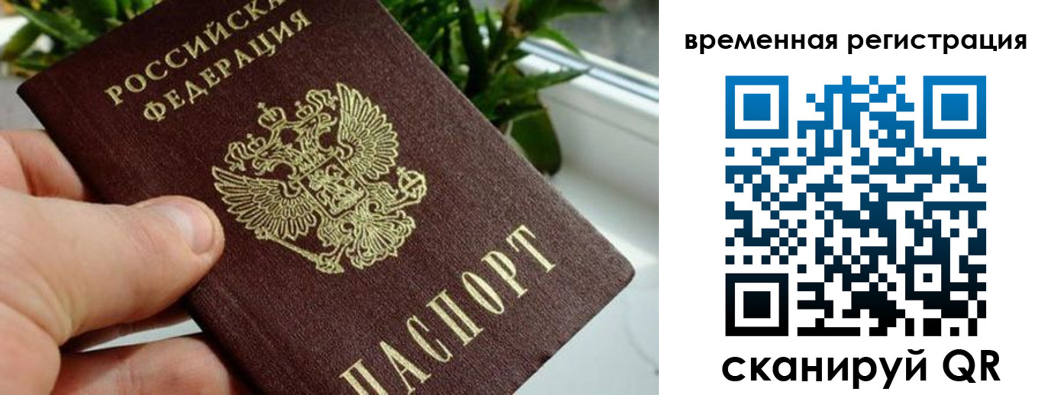 прописка поиск в Стрежевом